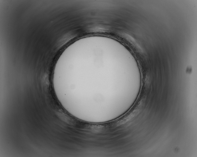 X0000103331209200809261153