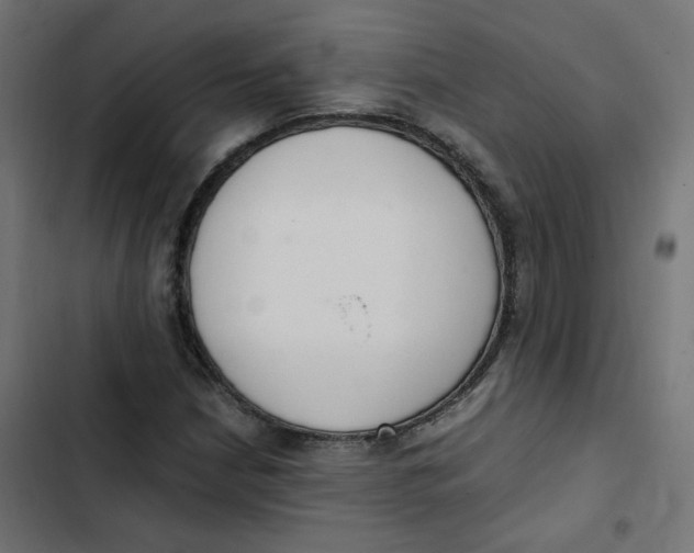 X0000103331210200809261153