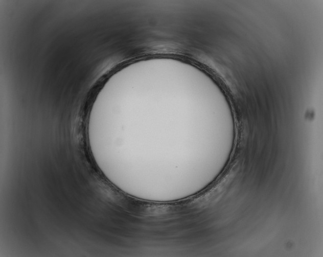 X0000103331211200809261153