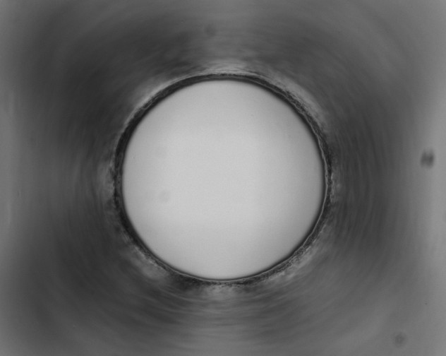 X0000103331212200809261153