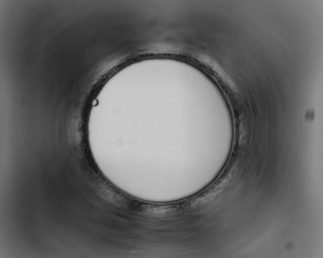 X0000103331213200809261153