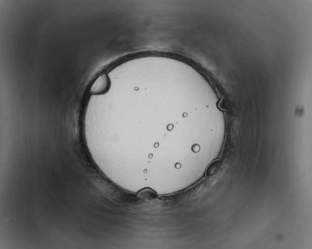 X0000103331214200809261153