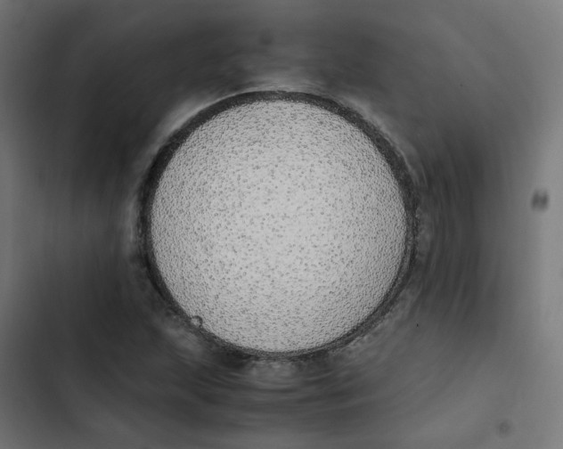 X0000103331215200809261153