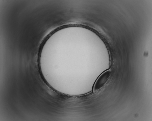 X0000103331216200809261153