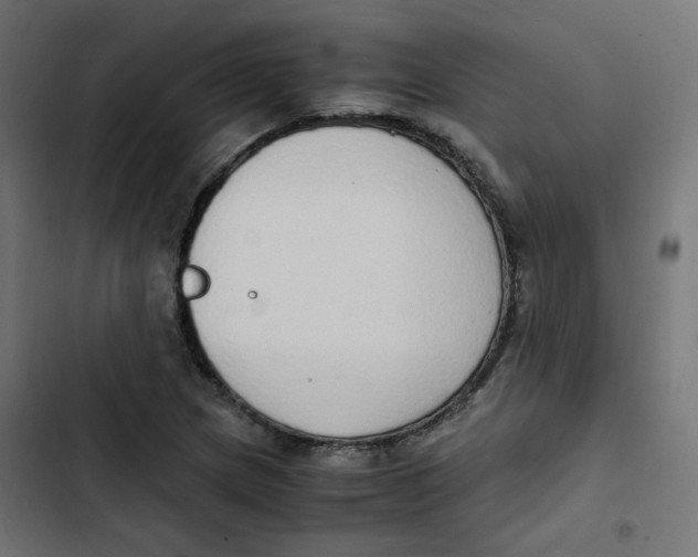 X0000103331217200809261153