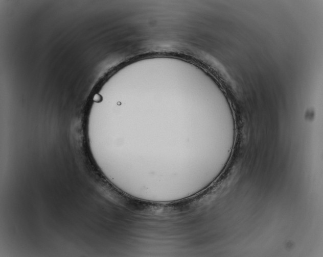 X0000103331218200809261153