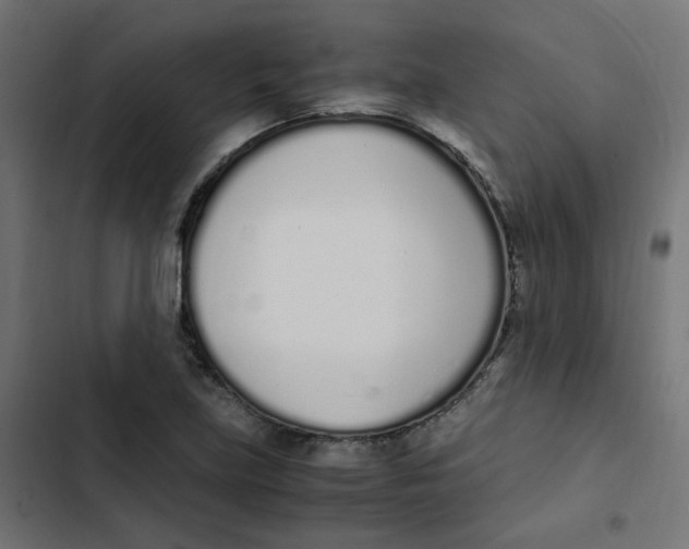 X0000103331219200809261153