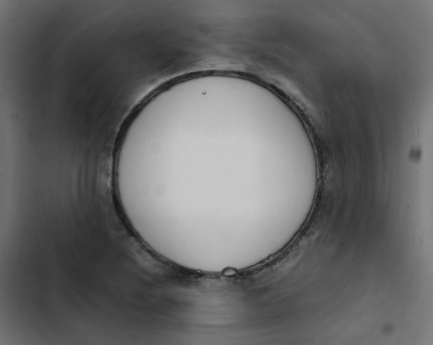 X0000103331220200809261153