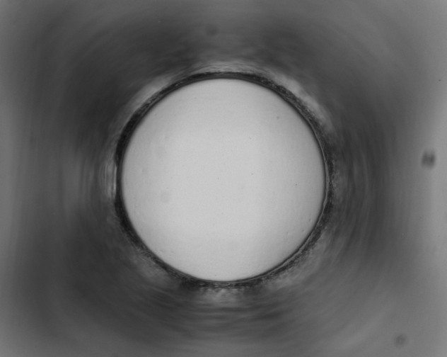 X0000103331221200809261153