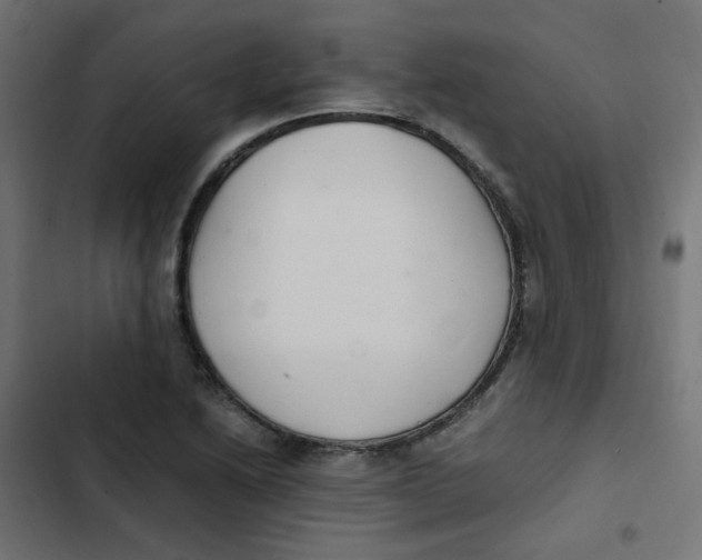 X0000103331222200809261153