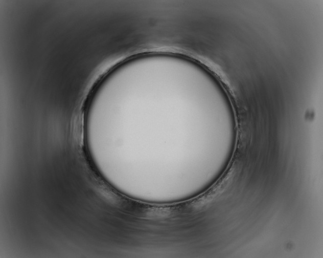 X0000103331223200809261153