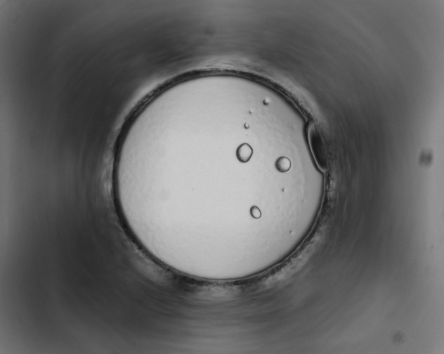 X0000103331224200809261153