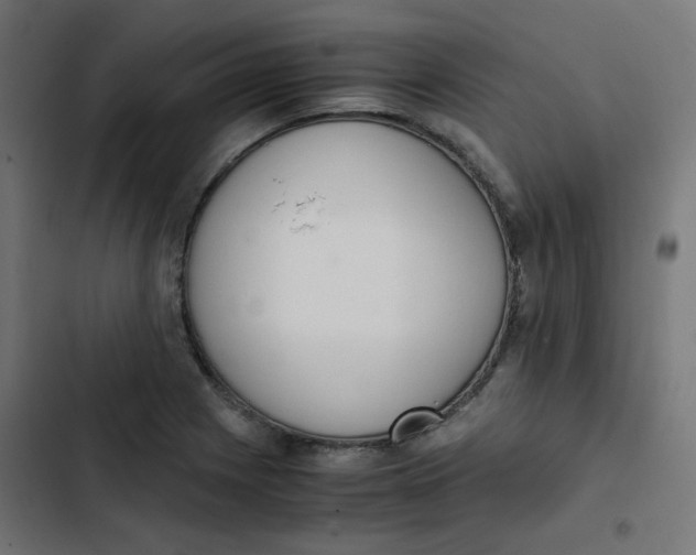 X0000103331225200809261153