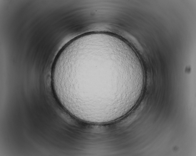 X0000103331226200809261153