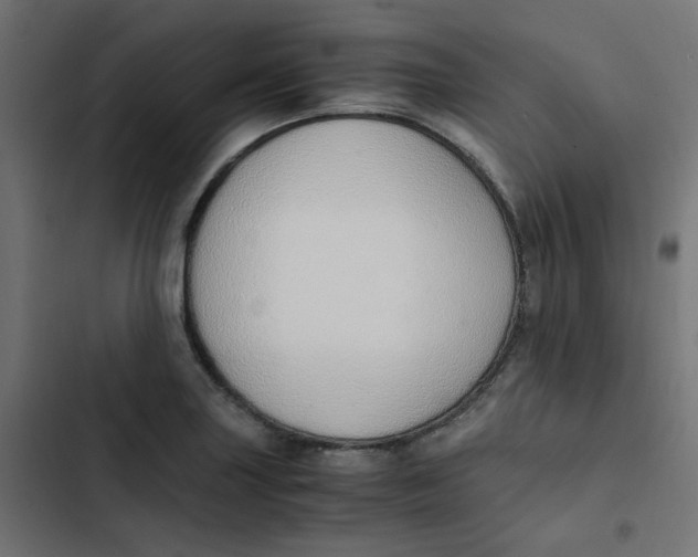 X0000103331227200809261153