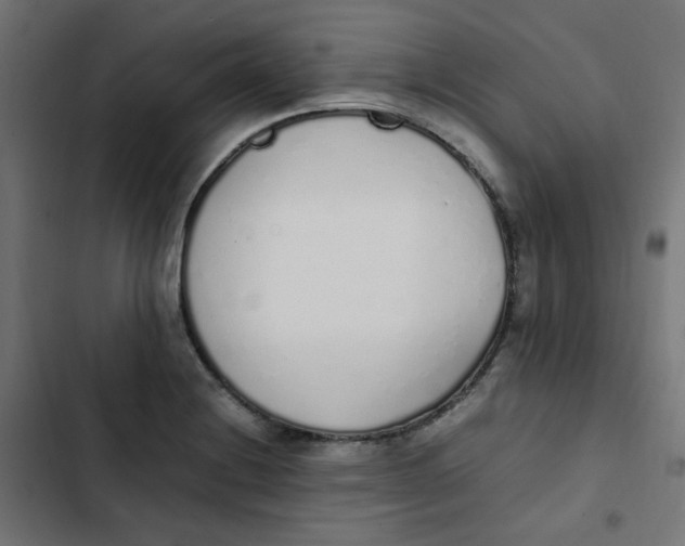 X0000103331228200809261153