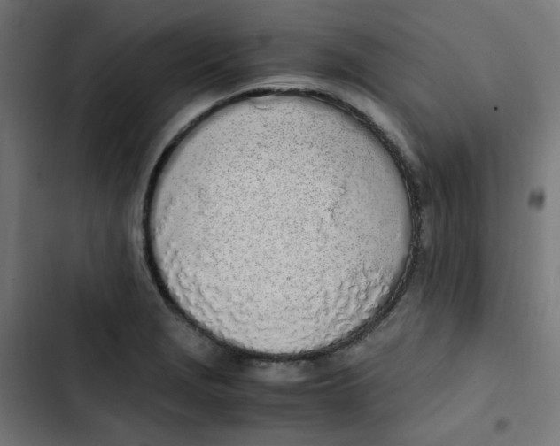 X0000103331229200809261153