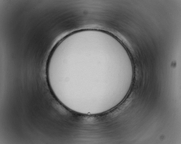 X0000103331230200809261153