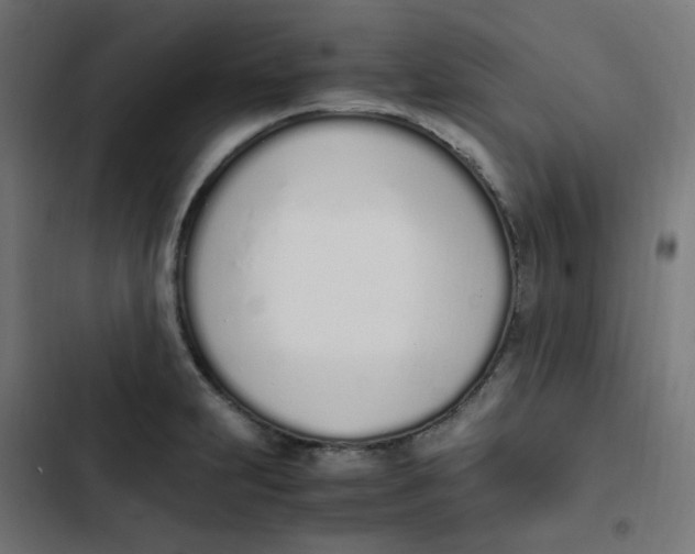 X0000103331231200809261153