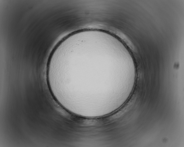 X0000103331232200809261153