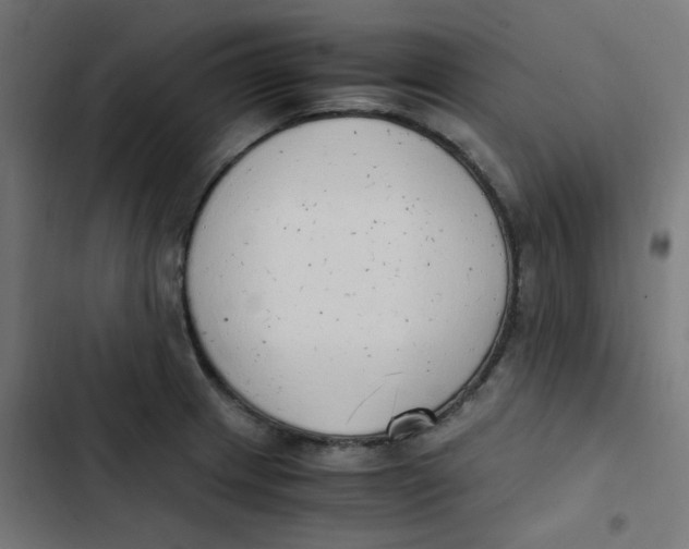 X0000103331233200809261153