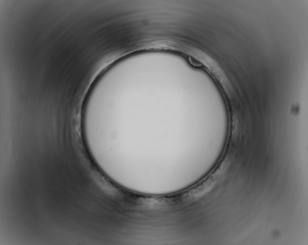 X0000103331234200809261153