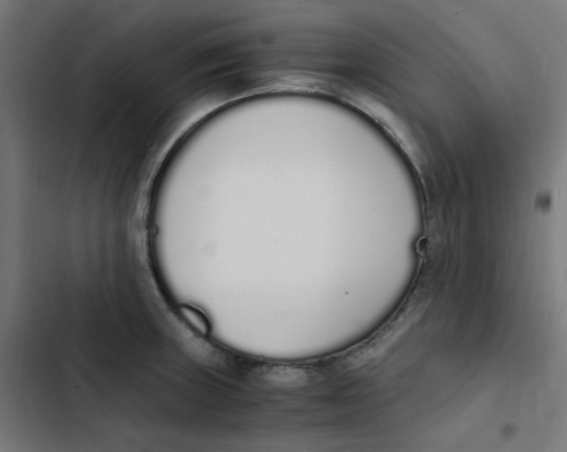 X0000103331235200809261153