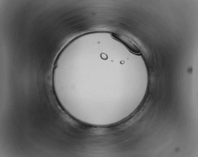 X0000103331236200809261153