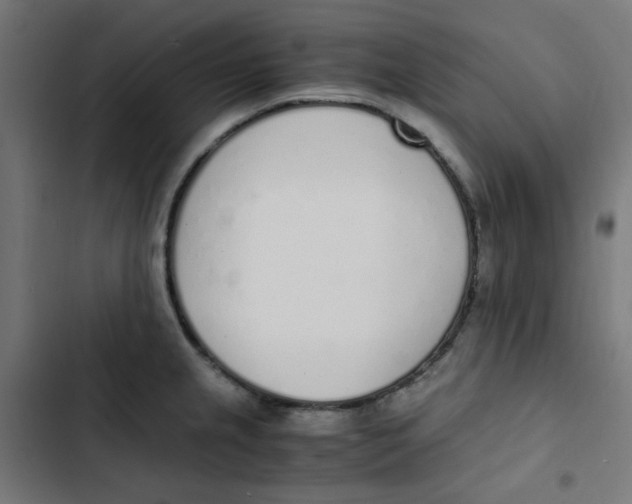 X0000103331237200809261153