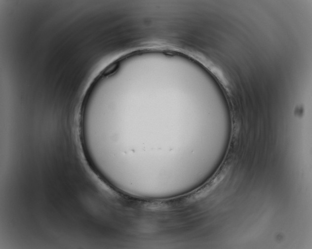 X0000103331239200809261153