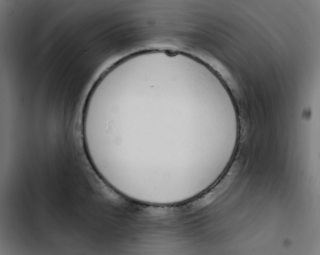 X0000103331240200809261153