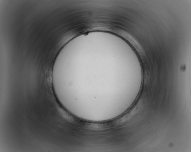 X0000103331241200809261153