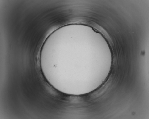 X0000103331242200809261153