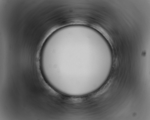 X0000103331243200809261153