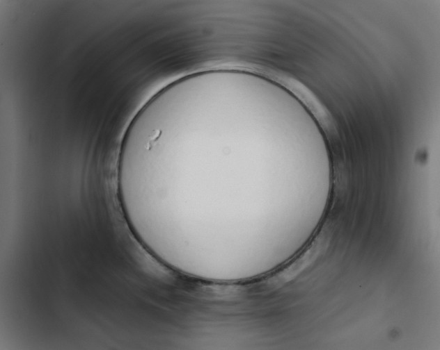 X0000103331244200809261153