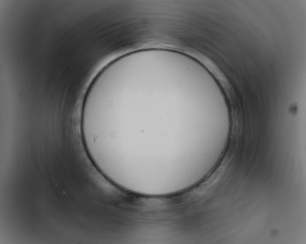 X0000103331246200809261153