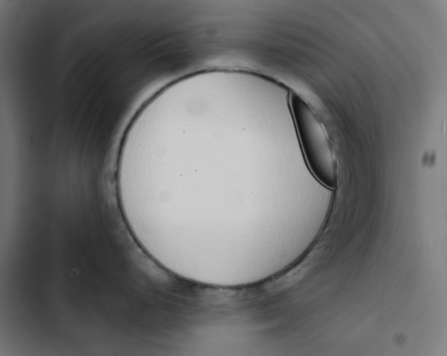 X0000103331248200809261153