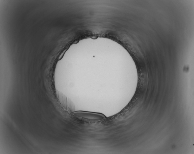 X0000103331249200809261153