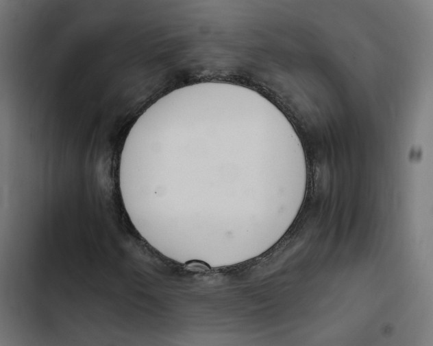 X0000103331250200809261153