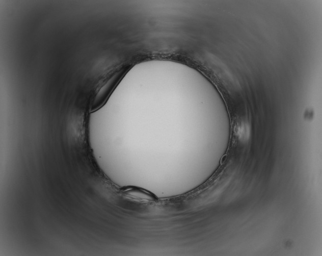 X0000103331252200809261153