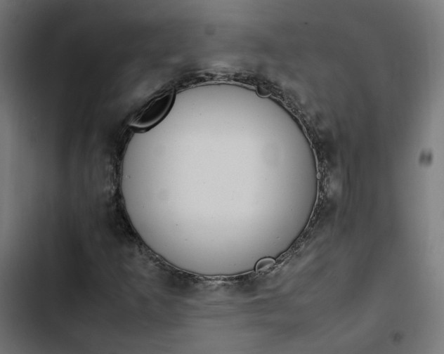 X0000103331253200809261152