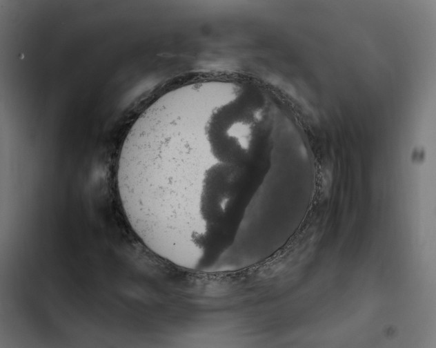 X0000103331254200809261152