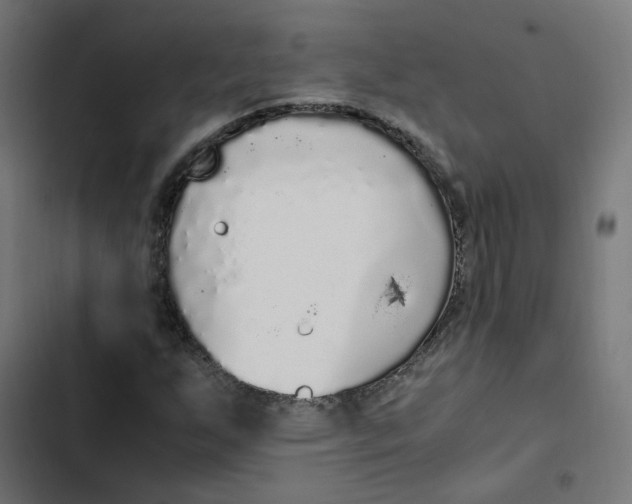 X0000103331255200809261152