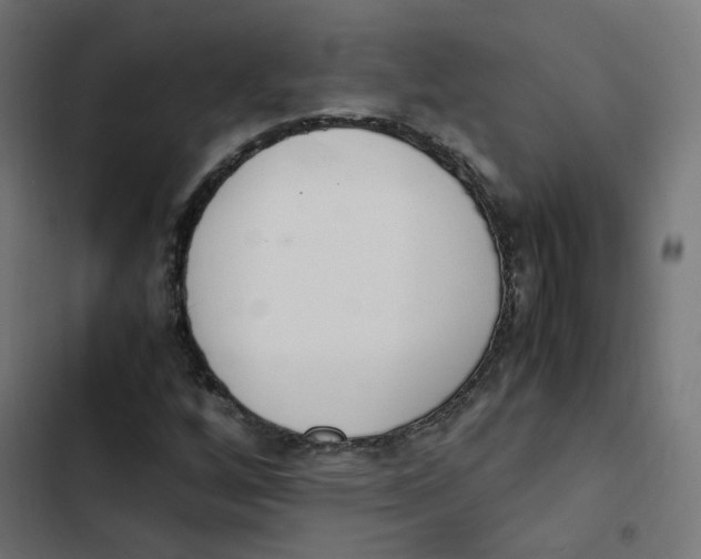 X0000103331256200809261152