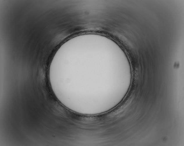 X0000103331257200809261152