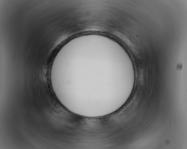 X0000103331258200809261152