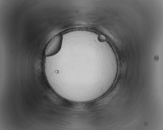 X0000103331259200809261152