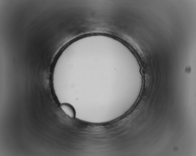 X0000103331260200809261152