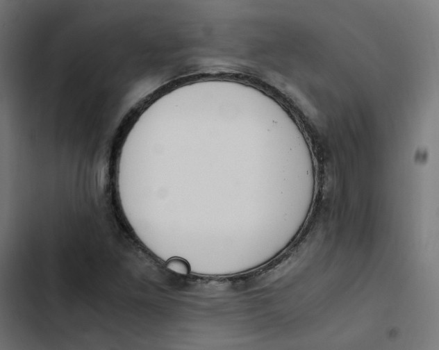 X0000103331261200809261152