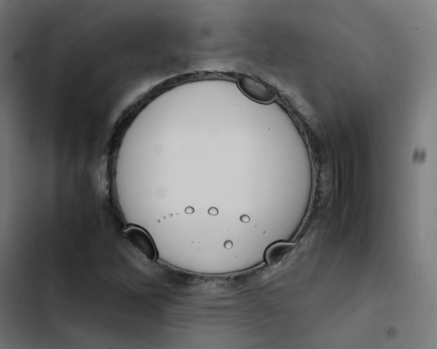 X0000103331262200809261152